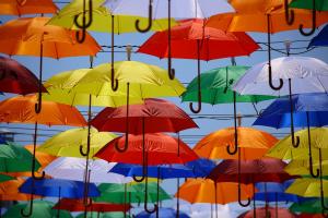 強い風の日でも安心して使える傘「耐風傘」